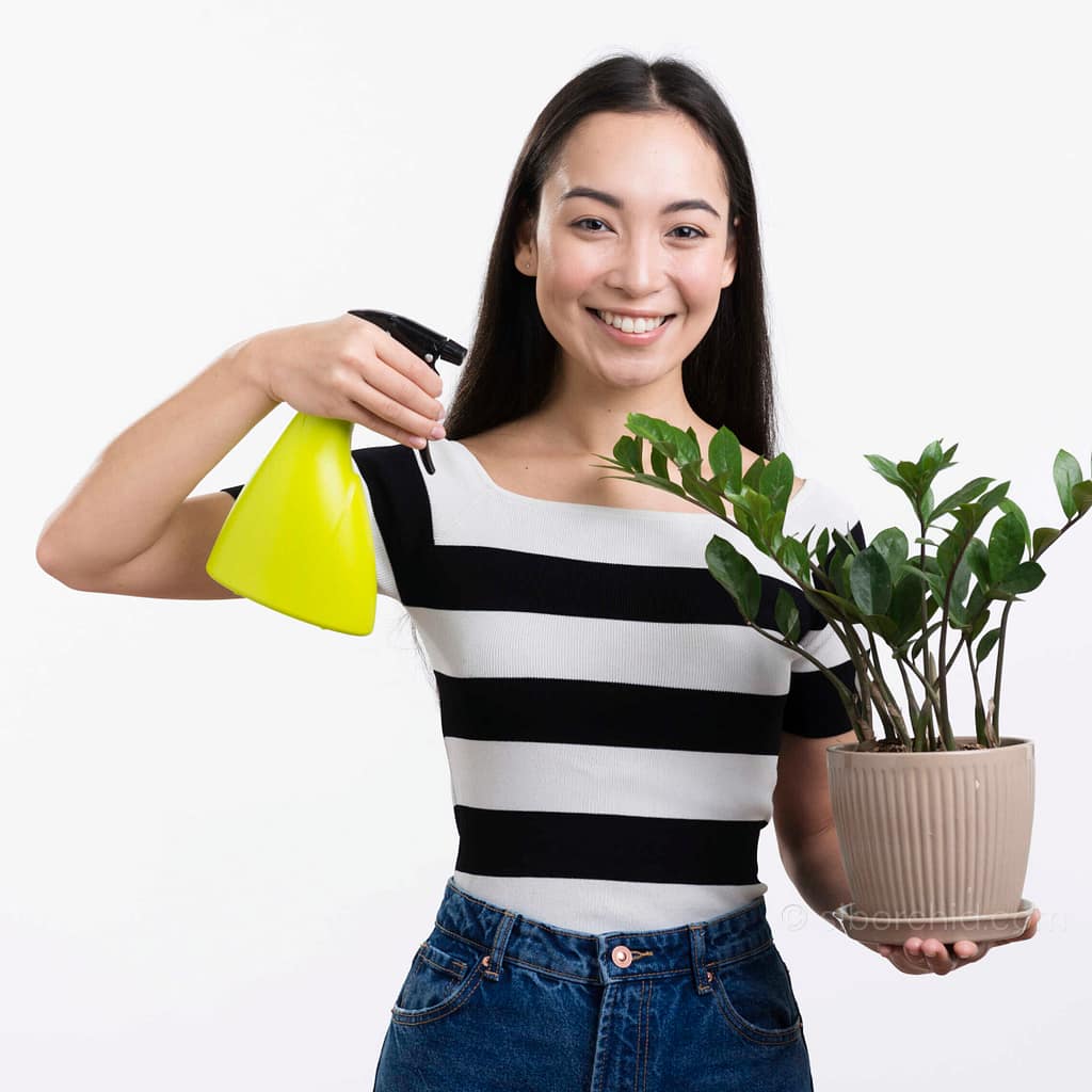 How to Control Common Orchid Pests and Diseases: The Ultimate Grower’s Guide (2025 Update) - Orchid Care & Growing Guides How to Control Common Orchid Pests and Diseases: The Ultimate Grower’s Guide (2025 Update) orchid from Orchid Care & Growing Guides