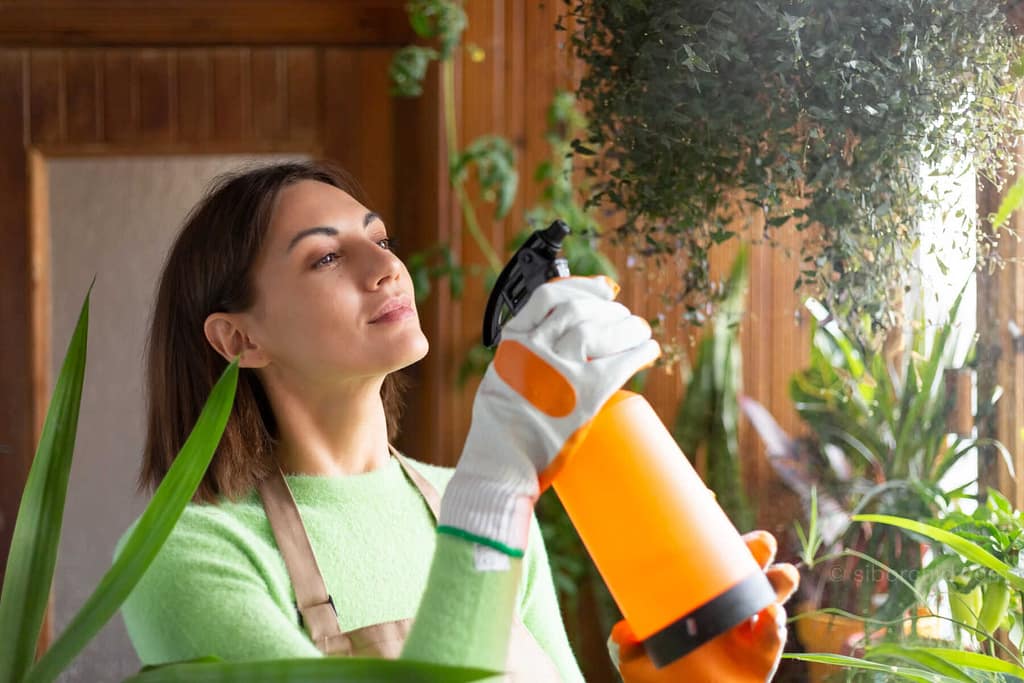 How to Control Common Orchid Pests and Diseases. orchid from Orchid Care & Growing Guides