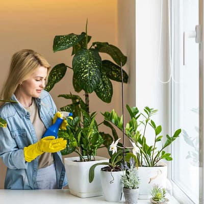 Natural and Organic for Your Plants - Gallery Blog Natural and Organic for Your Plants