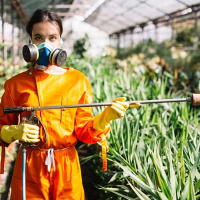 How to Control Common Orchid Pests and Diseases. - Orchid Care & Growing Guides Orchid Pests and Diseases