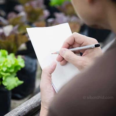 PPQ587 Import Permit Application Guide (Video Easy Tutorial)