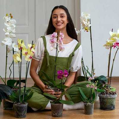 June Summer Orchid Bloom Guide: 9 Spectacular Species to Grow Now - Orchid Care & Growing Guides June Summer Orchid Bloom Guide: 9 Spectacular Species to Grow Now