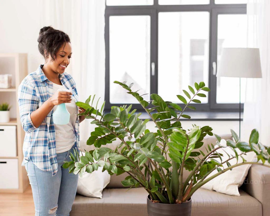 Orchid Care Guide: Tips for Growing Healthy Tropical Plants - Orchid Care & Growing Guides Orchid Care Guide: Tips for Growing Healthy Tropical Plants orchid from Orchid Care & Growing Guides